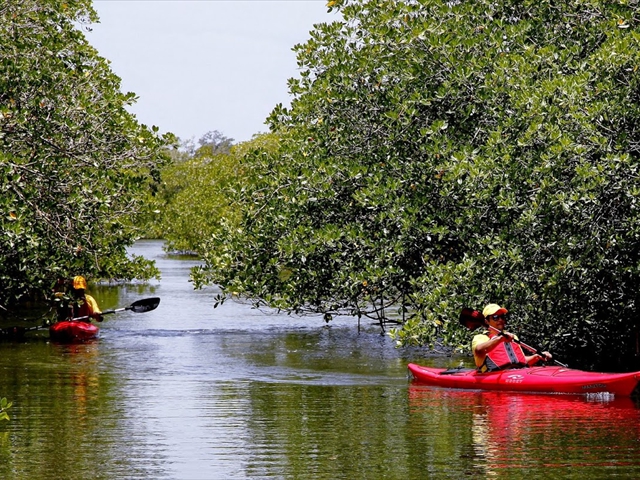 jf laguna (13)