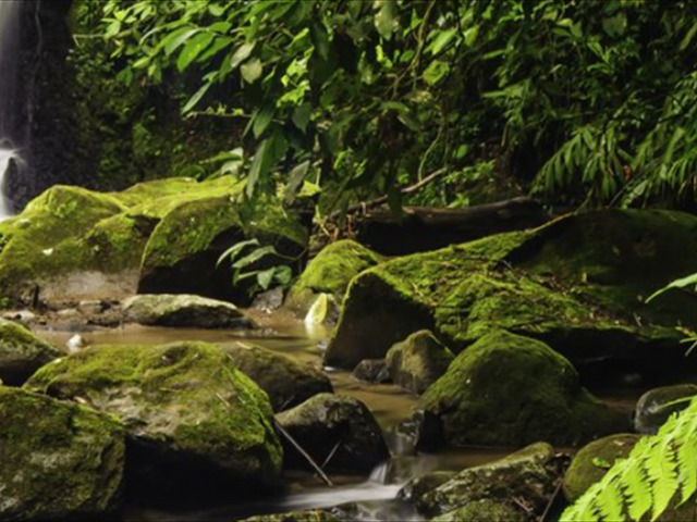 waterfallpic-960x332