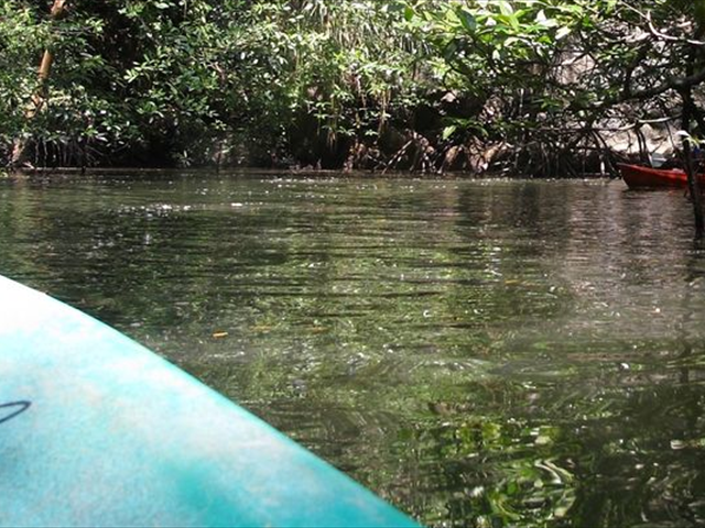 zkayak1