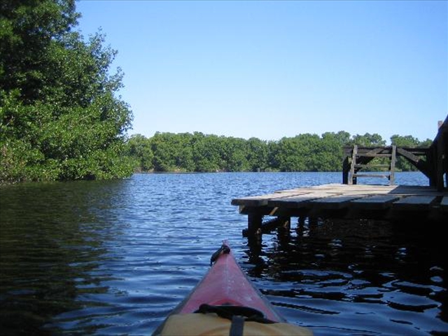 zkayaking-in-the-mangrove