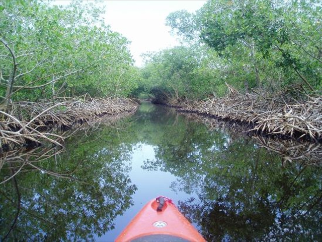 zkayak-utila