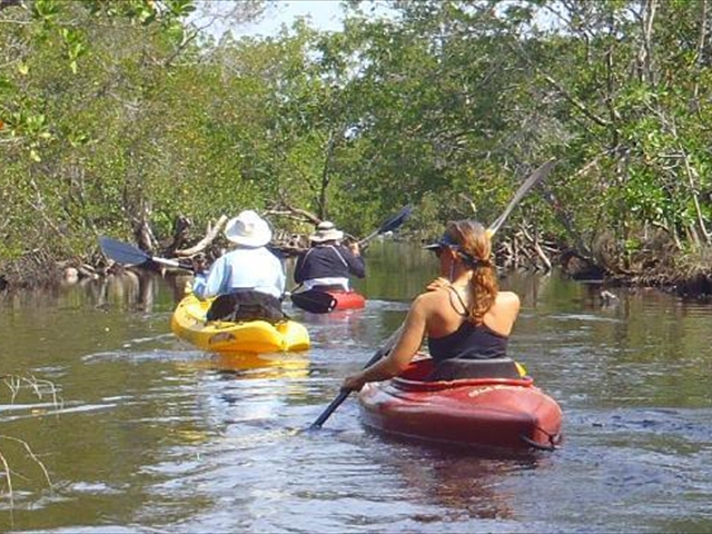 zmangrove-kayak-to-the