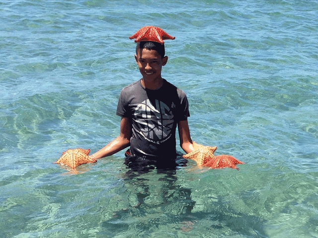 starfish5