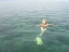 starfish8