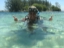 starfish9
