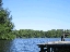 mangroves11