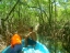 mangroves9