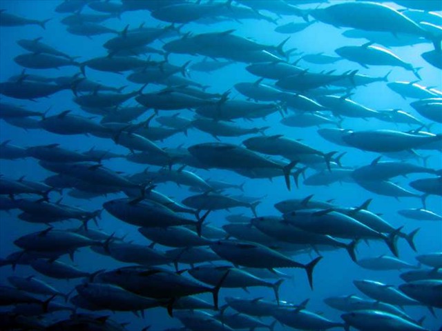 fishing12