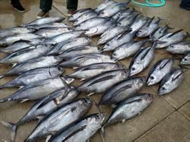 fishing18