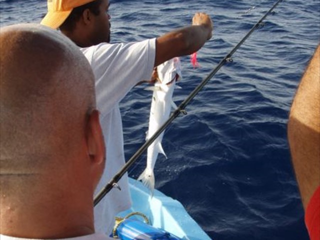 fishing4