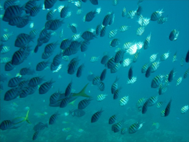 fishing6