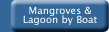 Mangroves and Lagoon