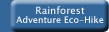 Rainforest Eco-Hike