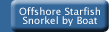 Starfish Snorkel